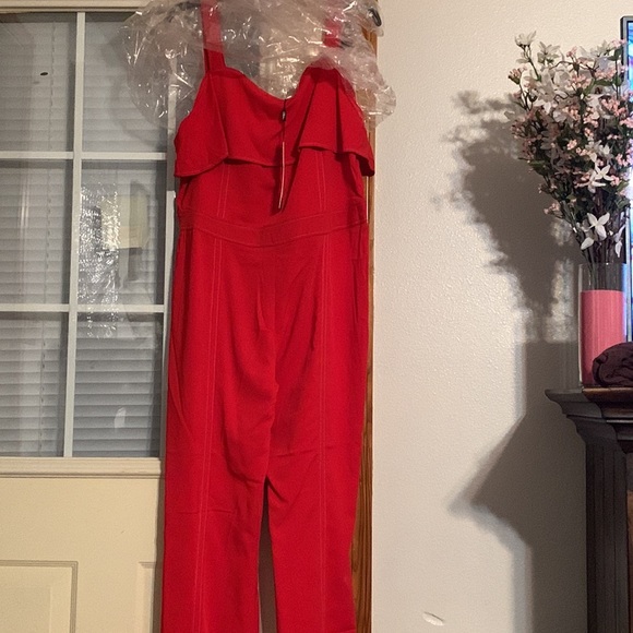 Jumpsuits - Picture 5 of 6